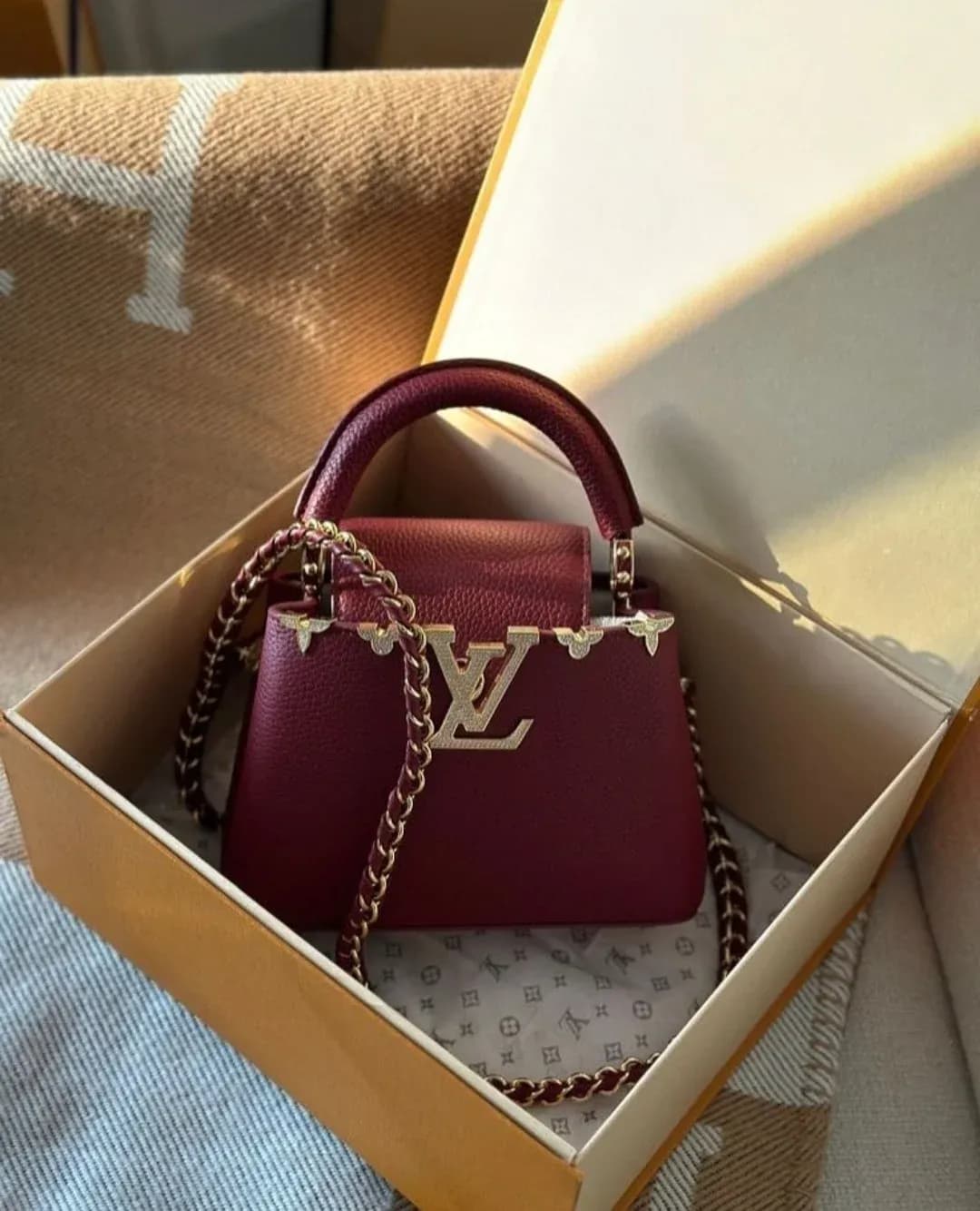 لوي فيتون كابوسينس ميني LV - 1