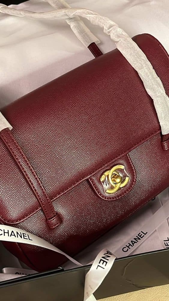 شنطة شانيل Chanel Preppy Coco - 2
